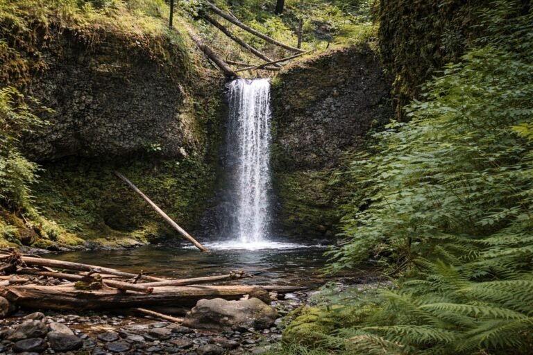 Ecola Falls 768x512