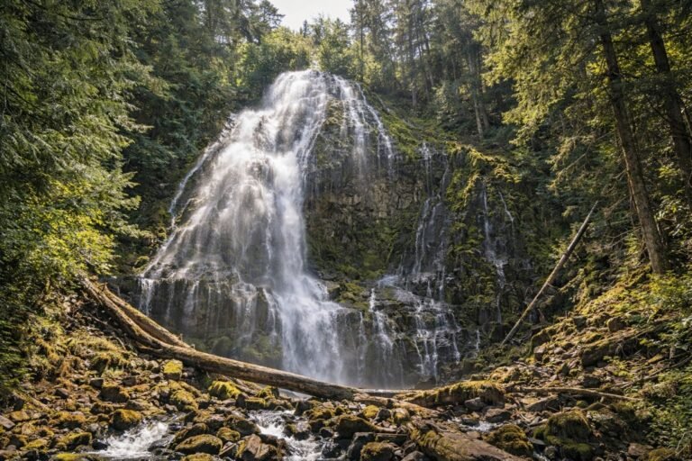 Proxy Falls 768x512