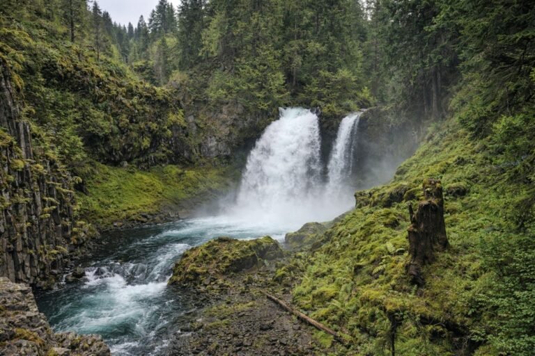 Sahalie Falls 768x512