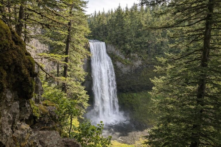 Salt Creek Falls 768x512