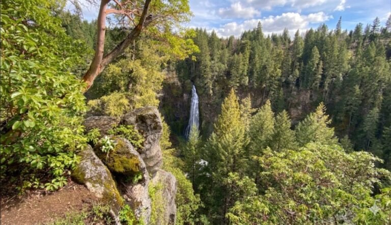 Barr Creek Falls 768x442