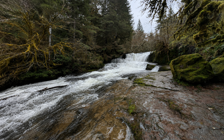 Alsea Falls Resized Image 768x480