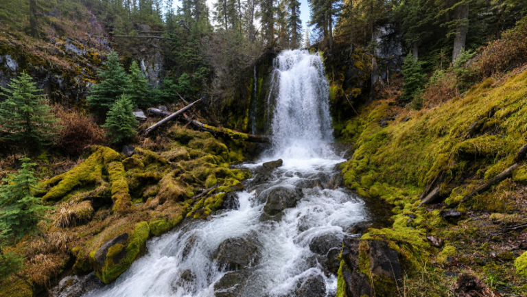 Bridge Creek Falls 768x433