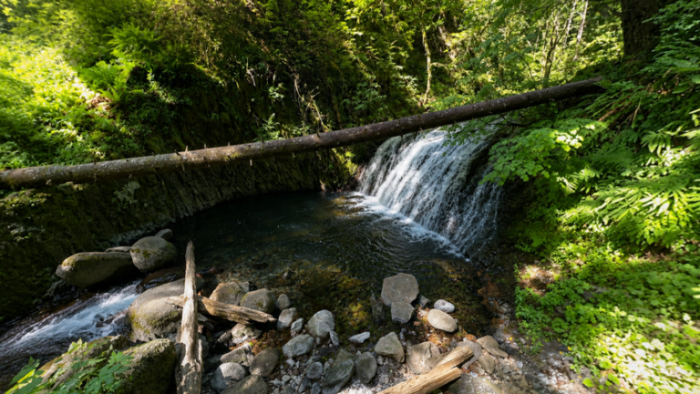 Dutchman Falls 768x433