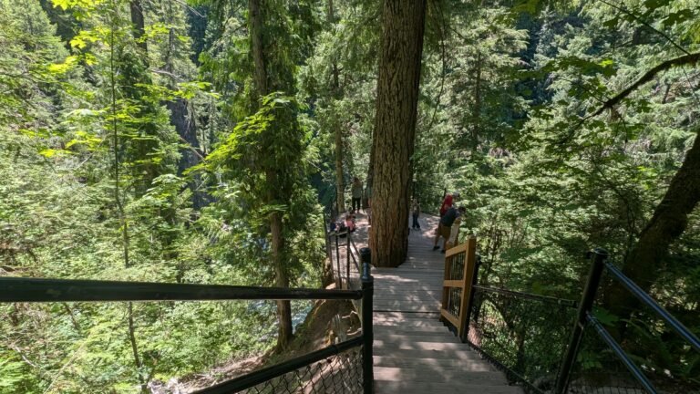 Toketee Viewing Platform