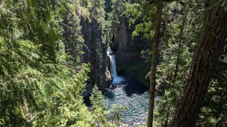Toketee Falls from Far Away