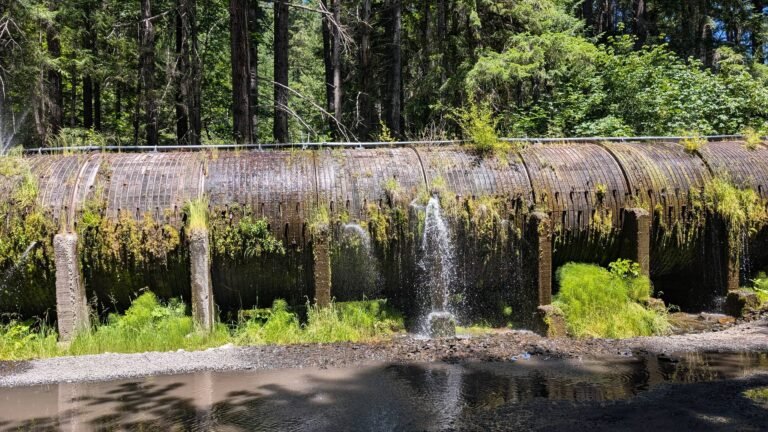Wooden Pipeline at Toketee Falls Trailhead