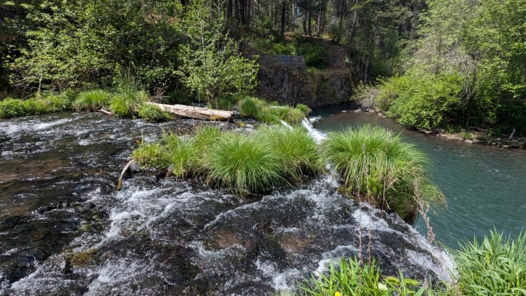 Big Butte Creek spreads across a wide basalt ledge — the same ledge that powered a sawmill for decades.